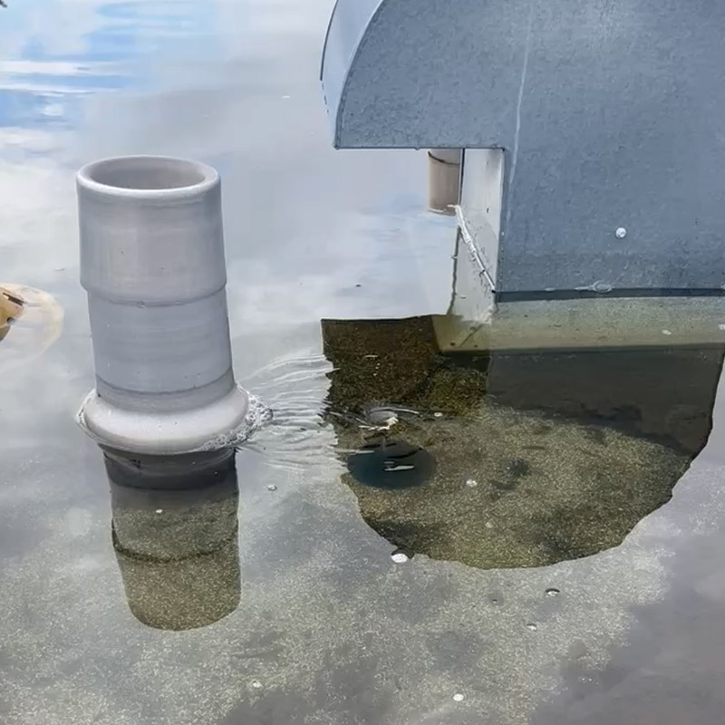 un probleme eau toit plat Napierville